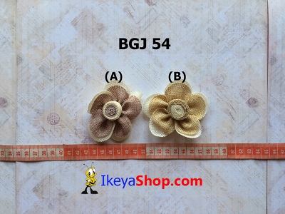BGJ 54  large2